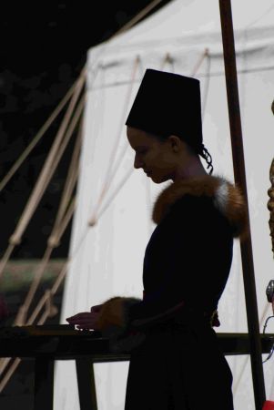 Medieval Lady Medieval Lady